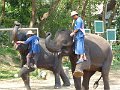 Chiang Mai P0142 Maetaman Elephant Camp